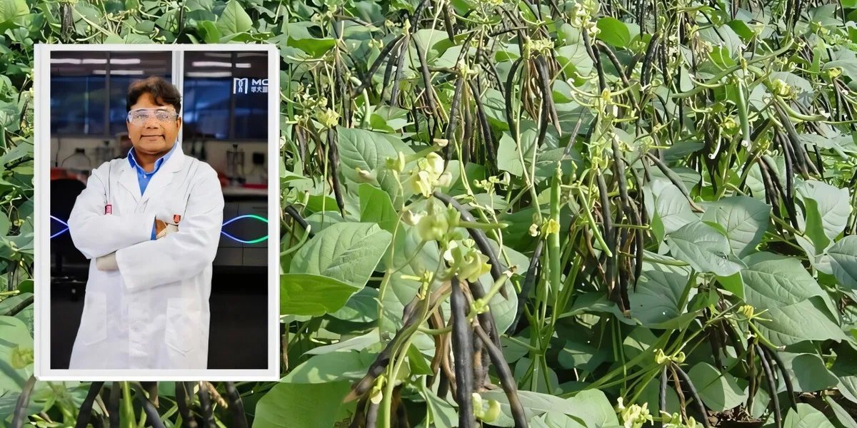 Mung bean pan-genome reveals 100,000+ structural variants