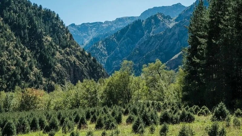 Жапаров объявил о превышении территории Кыргызстана 200 тыс. кв. км