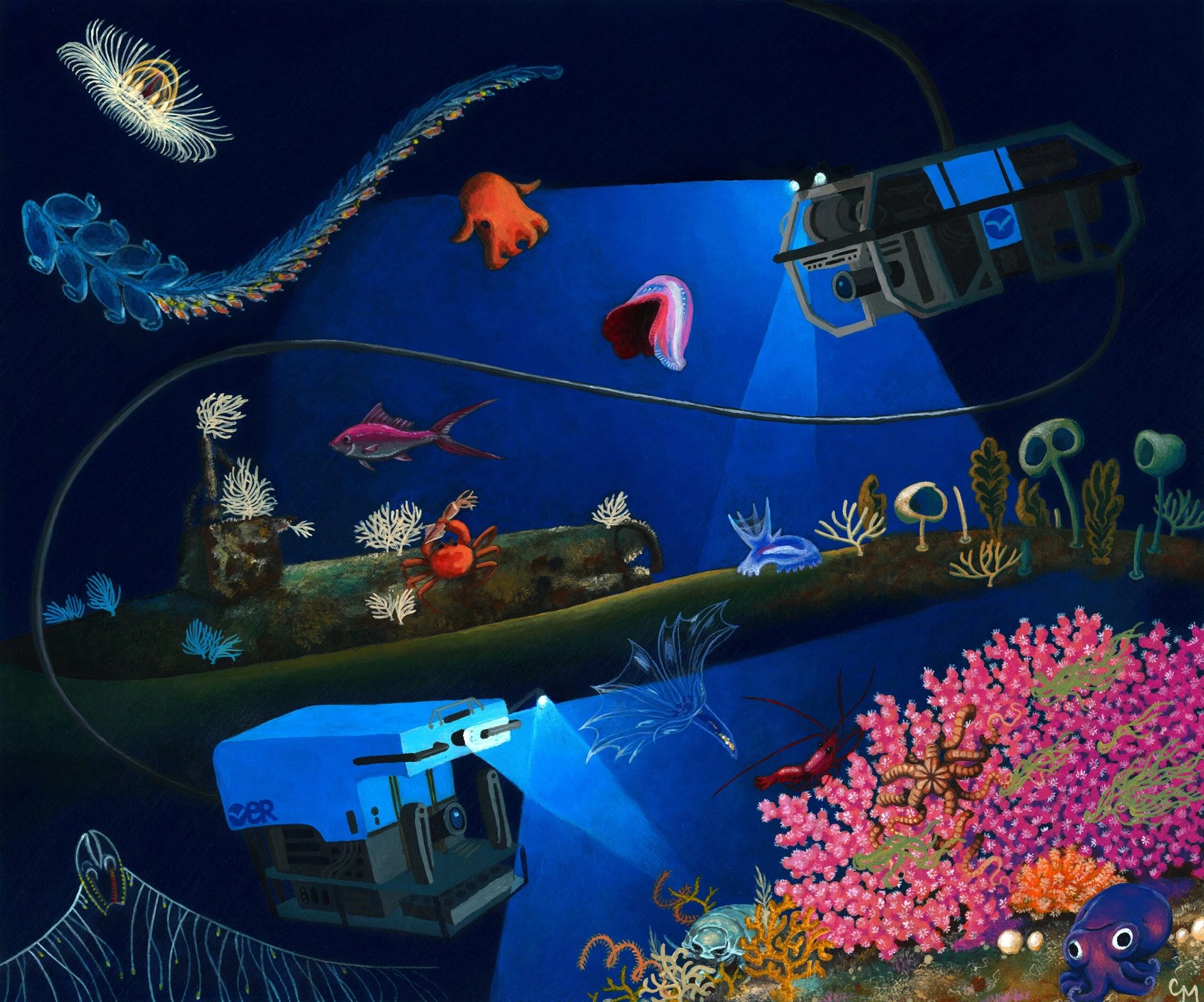 Ocean Discovery League: при нынешних темпах визуальное обследование глубоководного дна заняло бы 100 000 лет