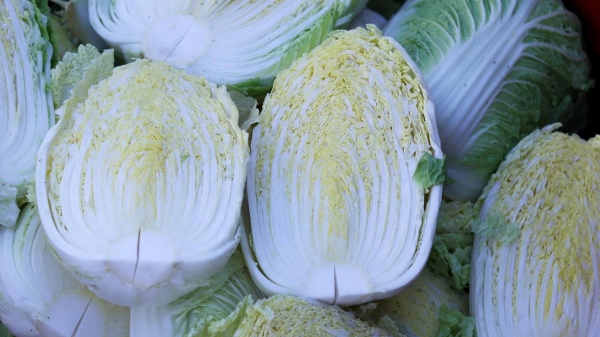 China investigates formaldehyde treatment of cabbage in Hebei province