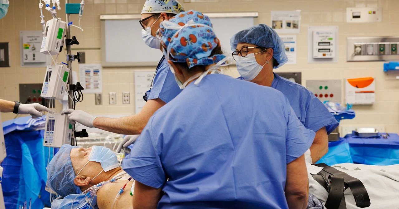 Pig kidney functions 285 days in woman, surpassing prior 271-day record