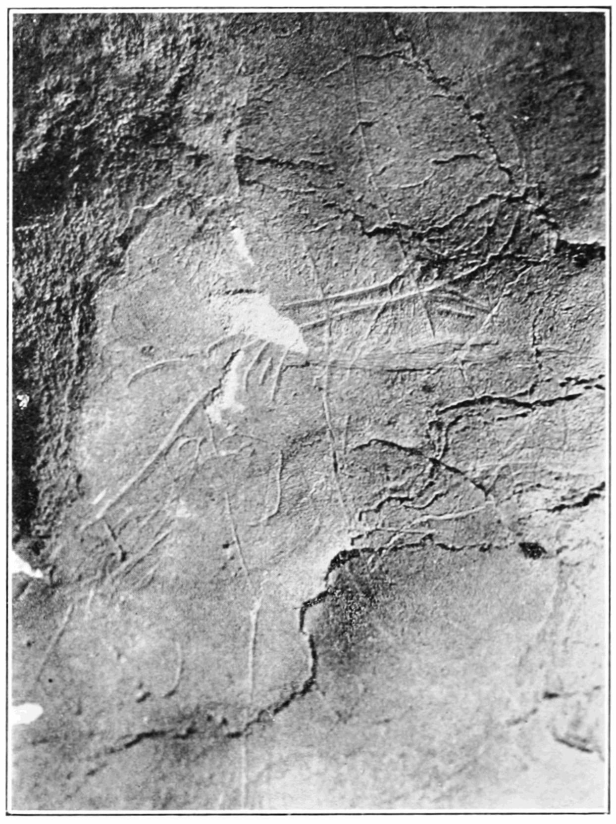 Поиск с помощью алгоритма выявил наскальные рисунки возрастом 15 000 лет на юго-западе Ирландии