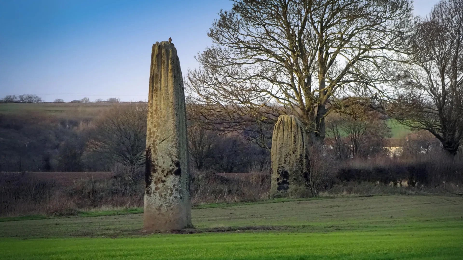 Devil's Arrows stones traced to Brimham Rocks 18 km away, study finds