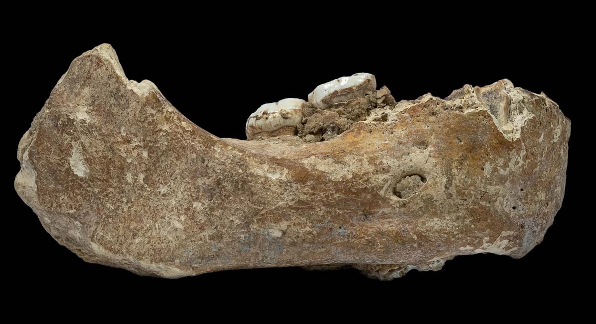 Окаменелости денисовцев из пещеры в Китае раскрывают 100 000 лет обитания