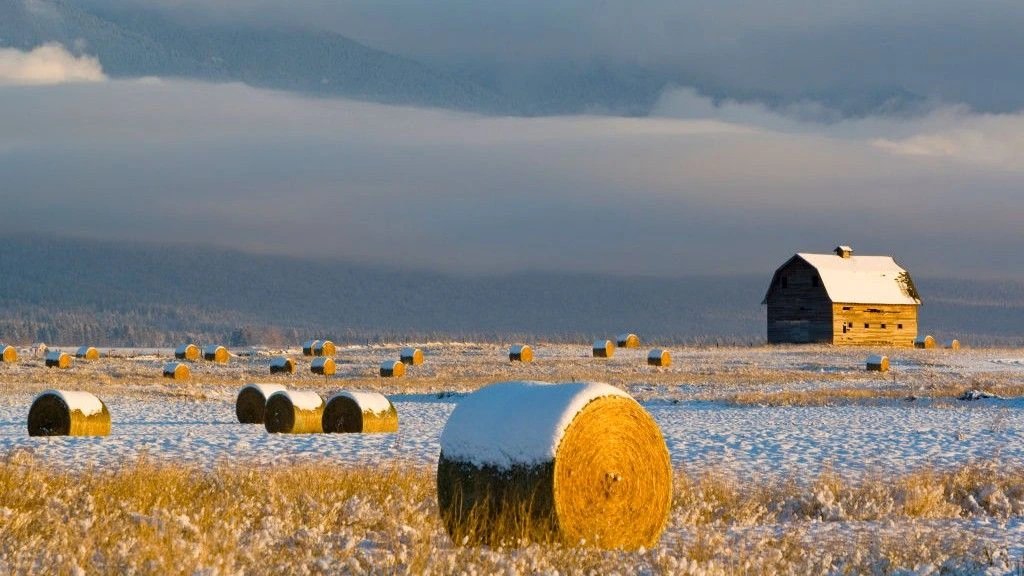 Исследование прогнозирует спад производства продовольствия при коллапсе атлантических течений