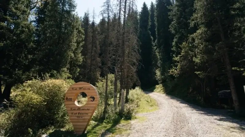 Курорт Кок Жайлау может принимать 8,9 млн посетителей в год в Алматы