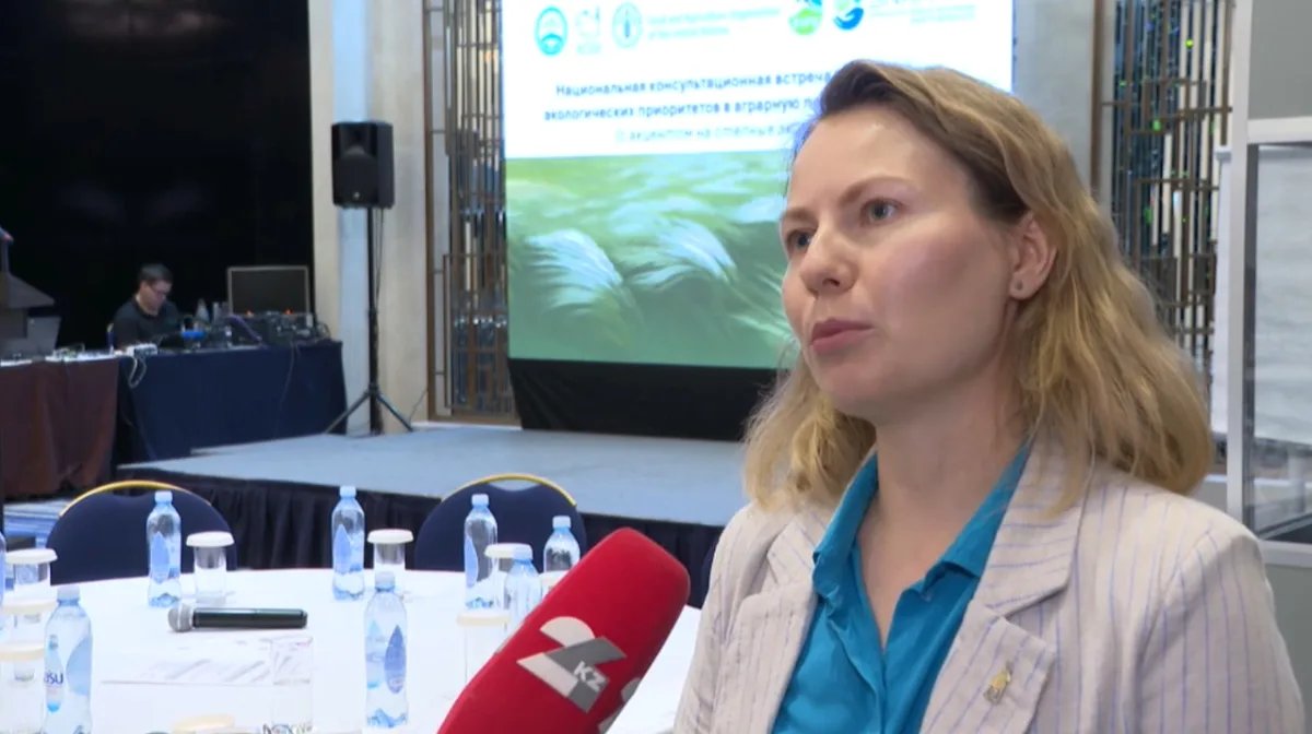 Казахстан предлагает создать комиссию для спасения 26 млн га пастбищ