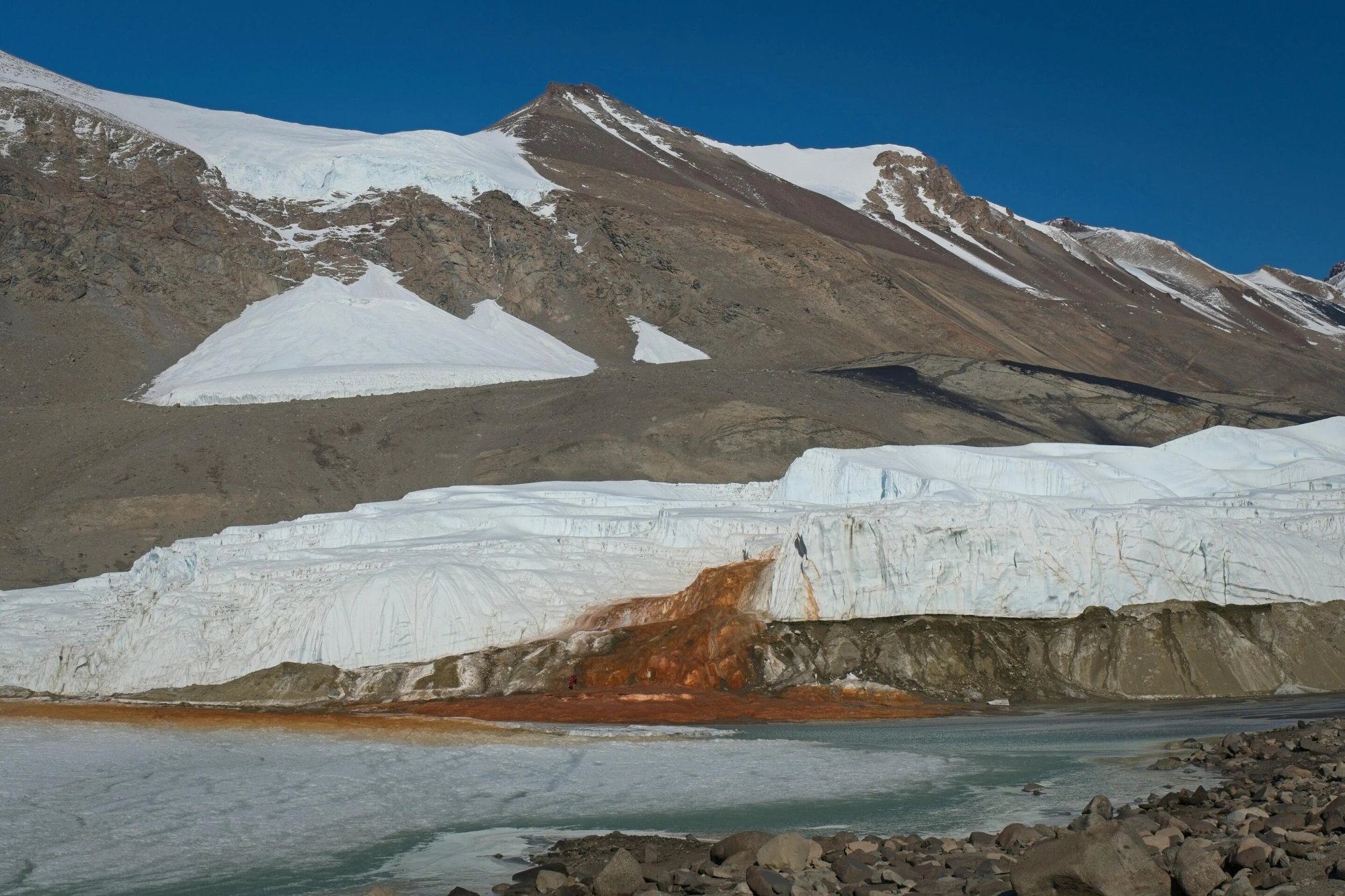 Nature Geoscience: микробы Blood Falls оказались морскими реликтами