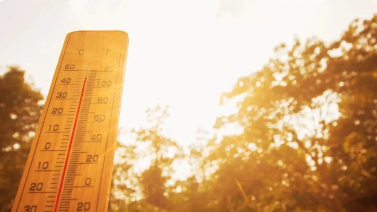 В Великобритании зафиксировано самое жаркое лето с 1884 года — в среднем 16,5°C