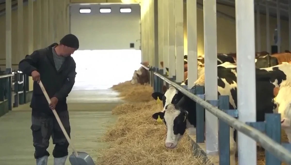 Казахстан признал Aqtogai Milk полностью виновным в гибели шести работников