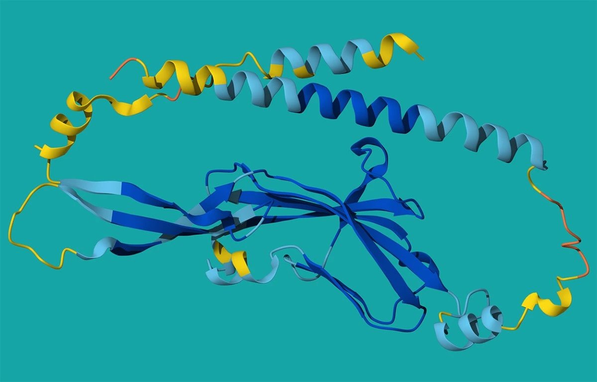 AI-predicted structures reveal 'superdark' protein resembling GPCR but functioning differently